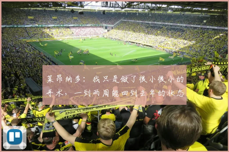 莱昂纳多：我只是做了很小很小的手术，一到两周能回到去年的状态