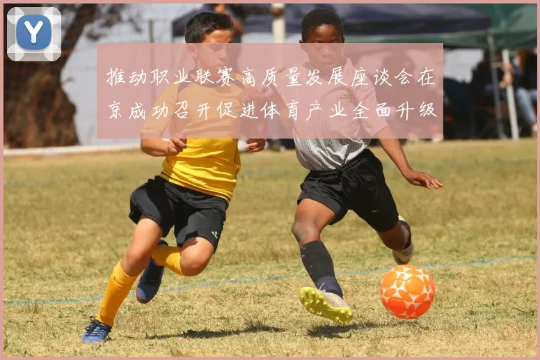 推动职业联赛高质量发展座谈会在京成功召开促进体育产业全面升级与创新发展