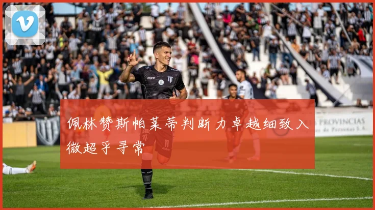 佩林赞斯帕莱蒂判断力卓越细致入微超乎寻常