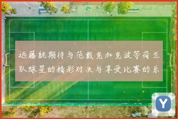 远藤航期待与范戴克加克波等荷兰队球星的精彩对决与享受比赛的乐趣